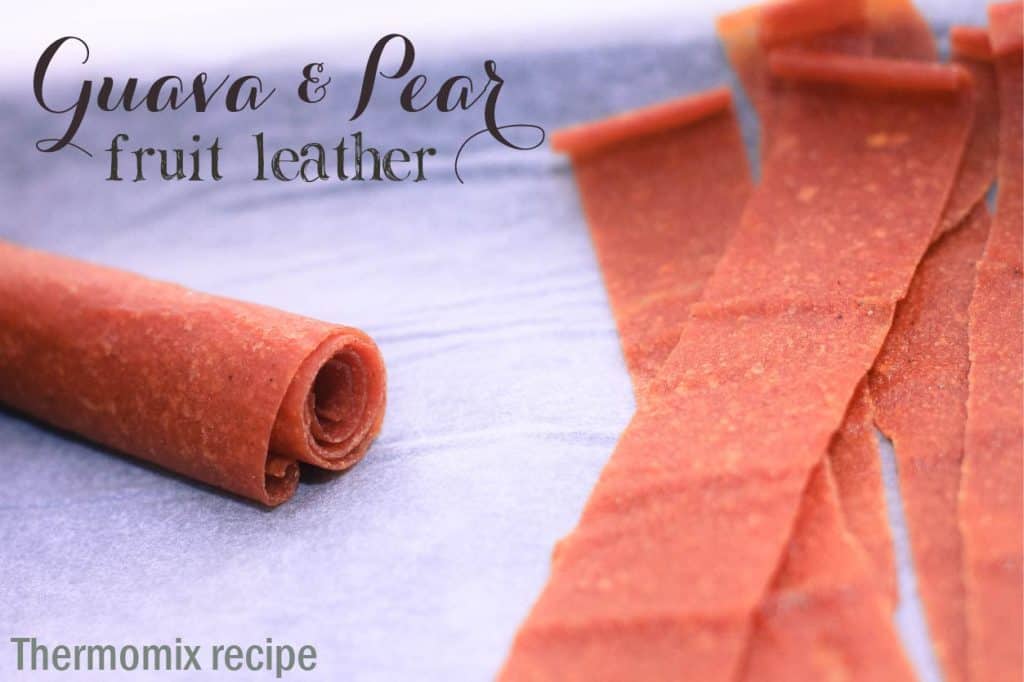 Fruit leather-01