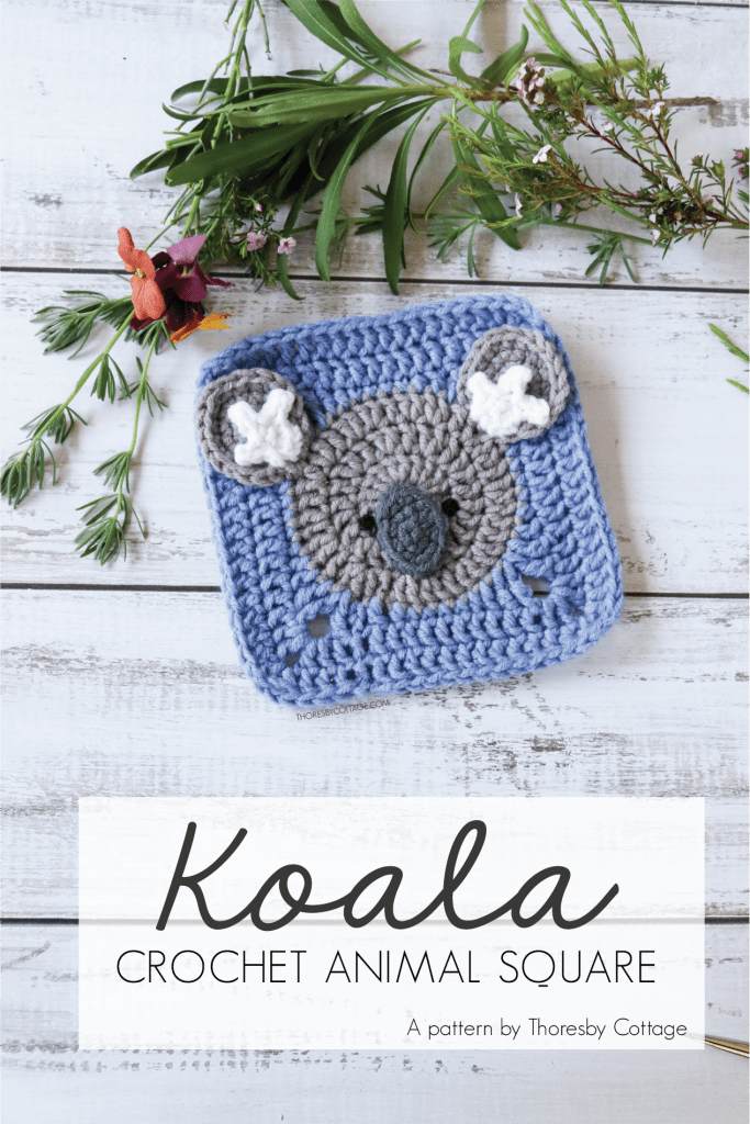 Koala animal square