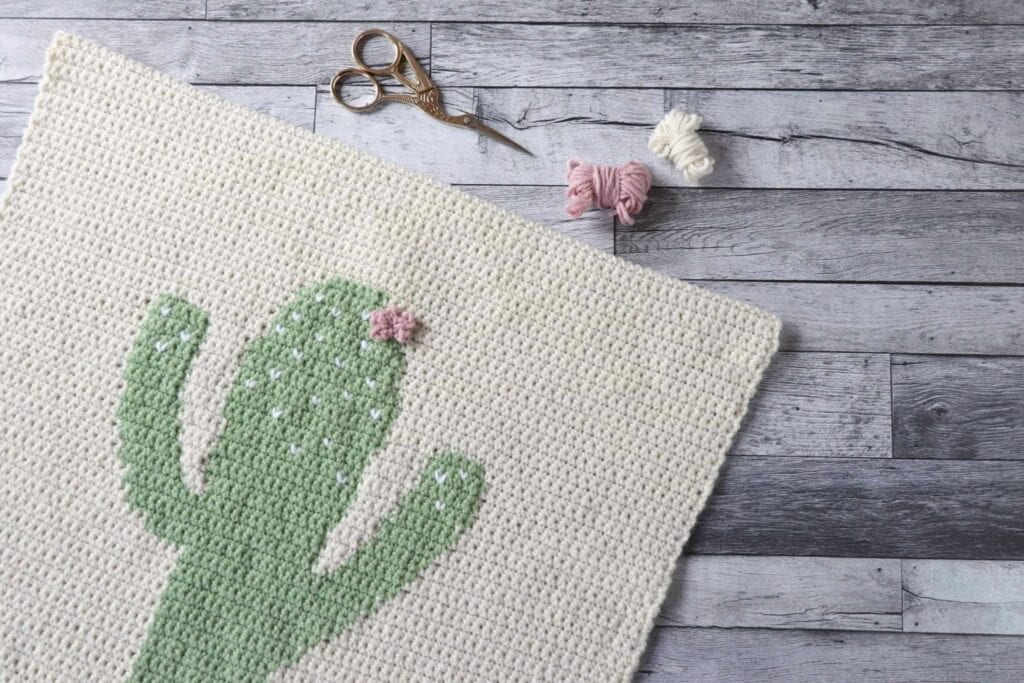 Cactus Crochet Wall Hanging Pattern | Tapestry Crochet