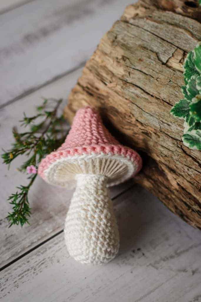 Learn how to crochet a mushroom 