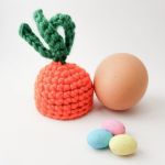 Carrot top egg cosy